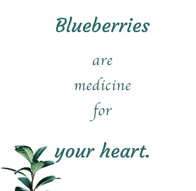 Blueberry Medicine